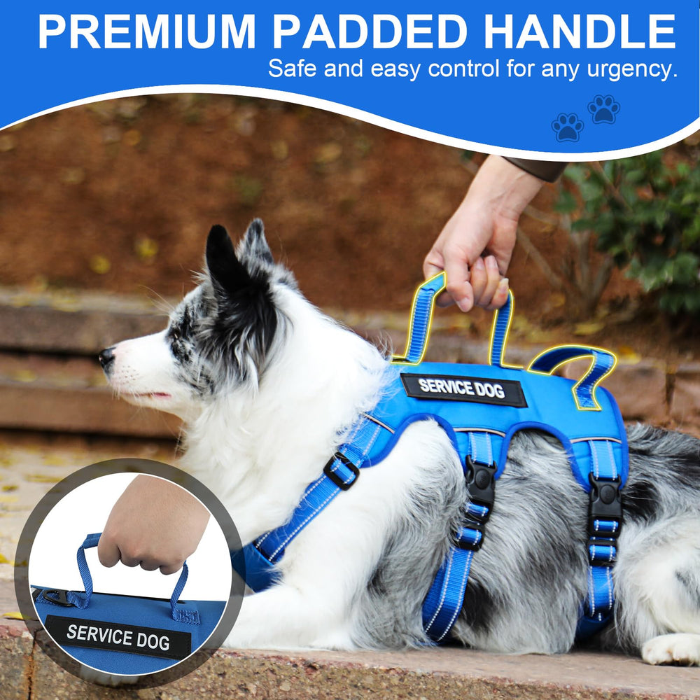 Yungaspy reflective strip on harness aids night visibility during walks.