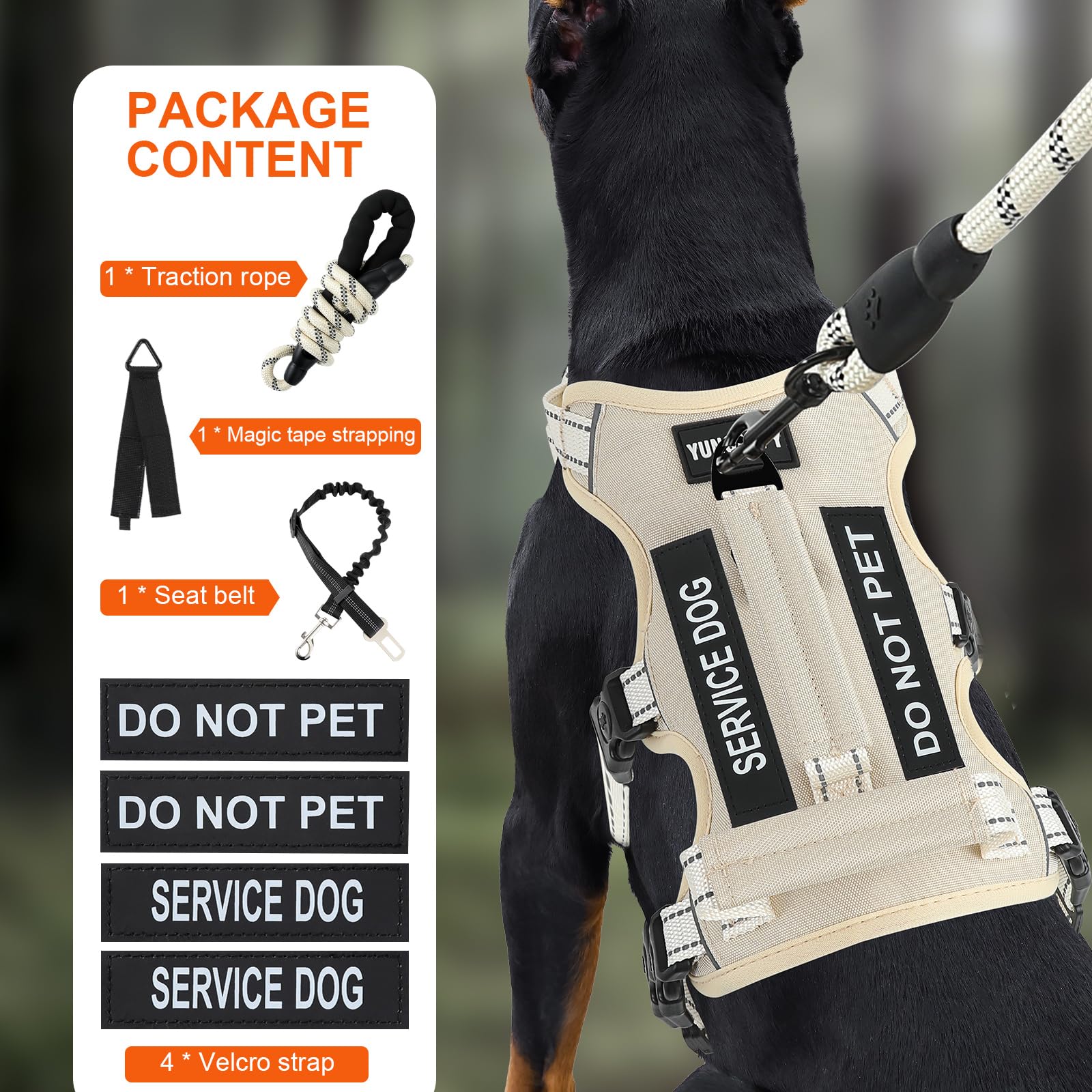 Yungaspy six-point adjustable harness demonstrates neck, chest, and abdomen fit
