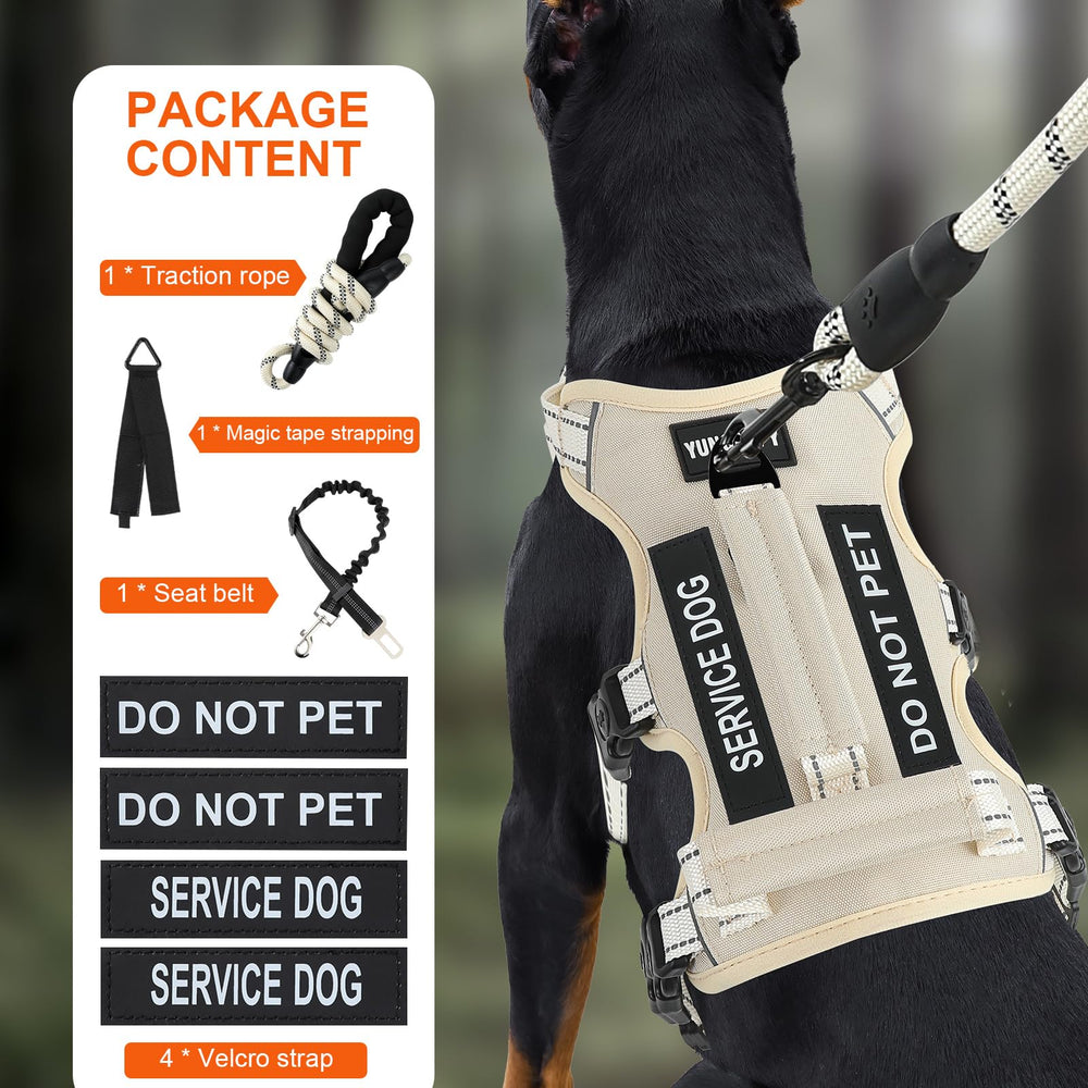 Yungaspy six-point adjustable harness demonstrates neck, chest, and abdomen fit