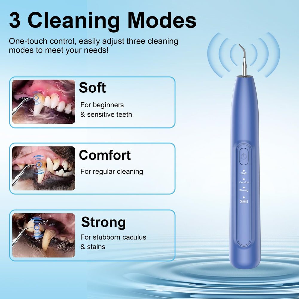 YunLuna contents view shows cleaning heads and dental toolkit