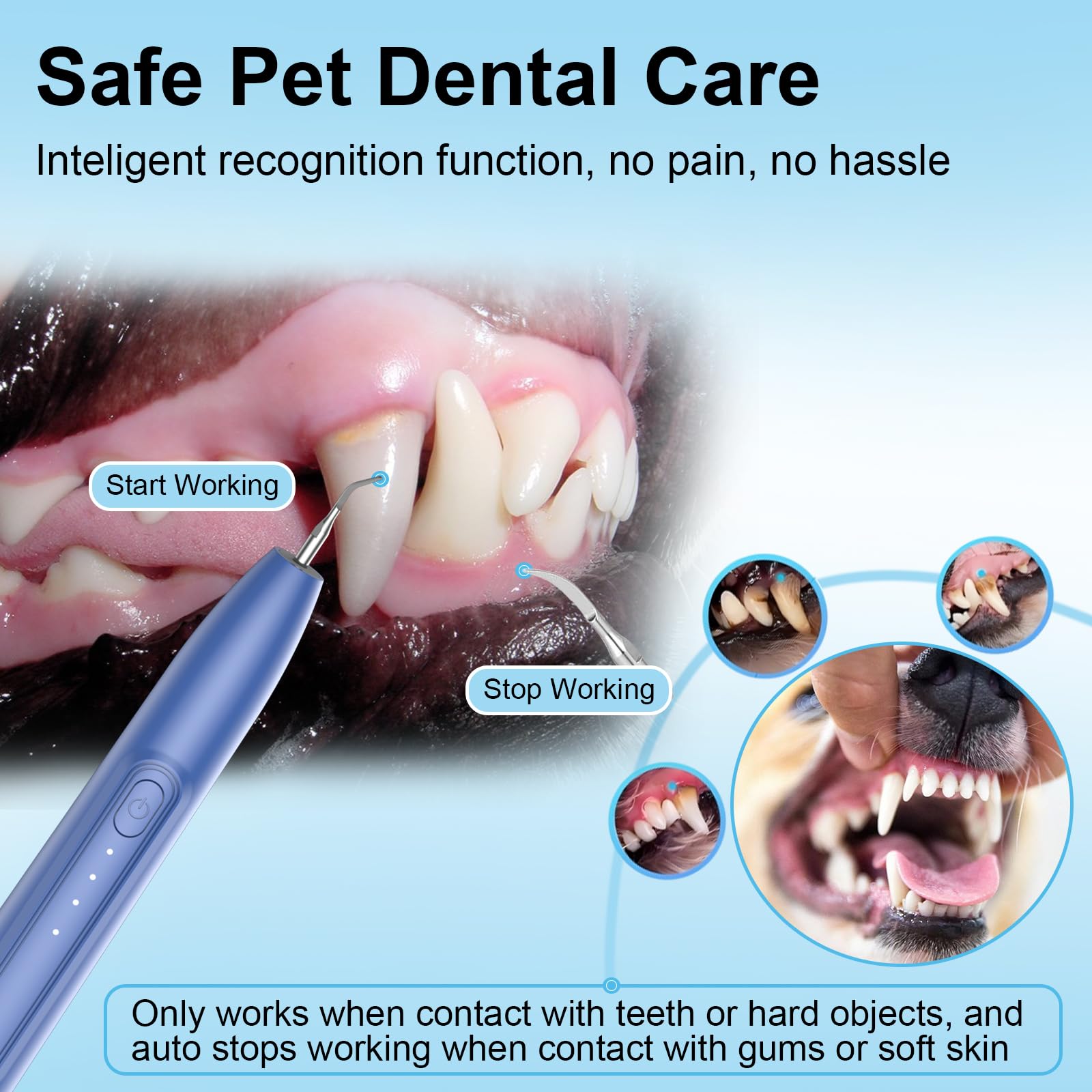 YunLuna USB rechargeable dog teeth cleaner with charging indicator