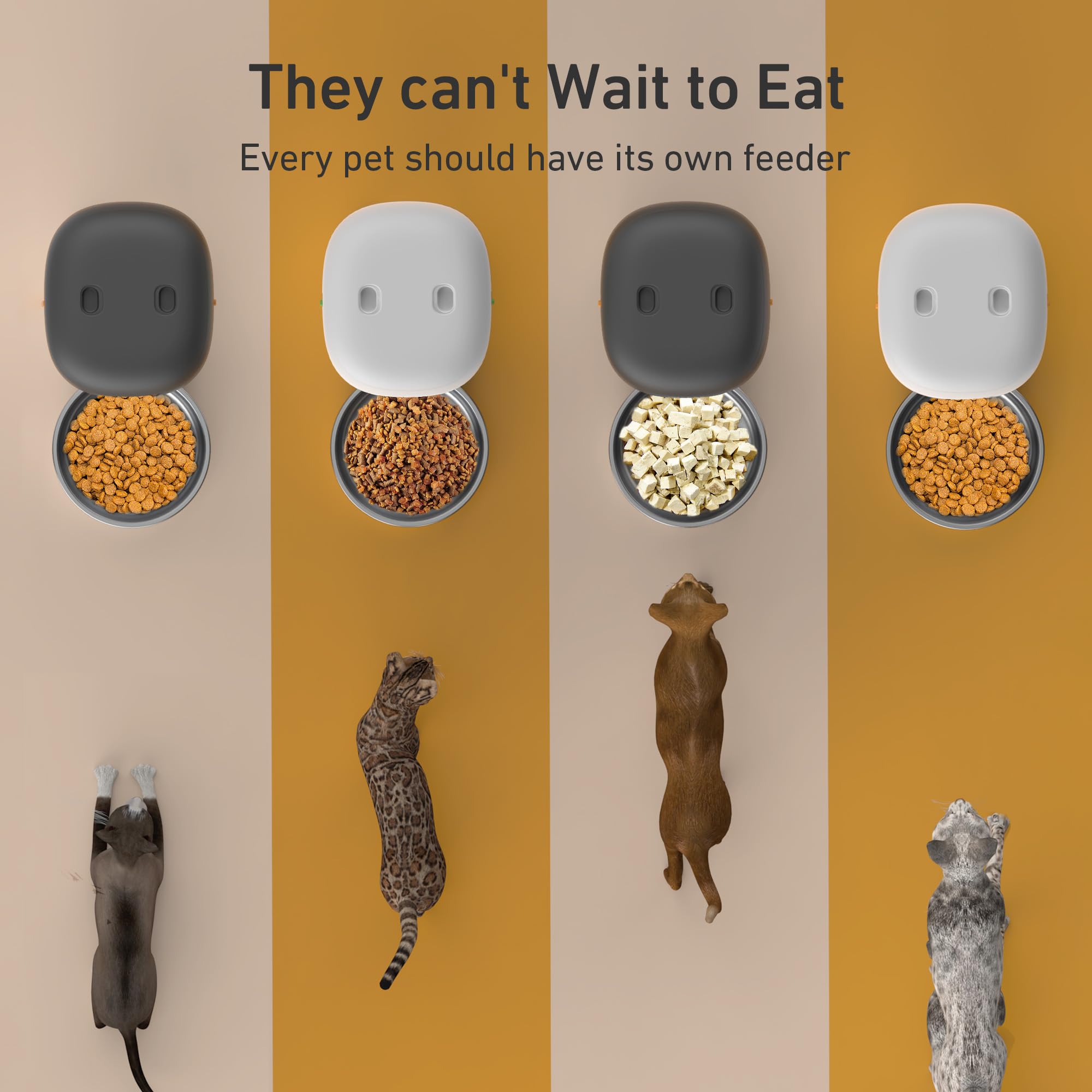 Yuposl feeder in action during scheduled pet mealtime routine