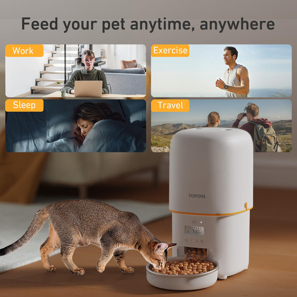 Yuposl multi-pet feeder setup supports households with two pets