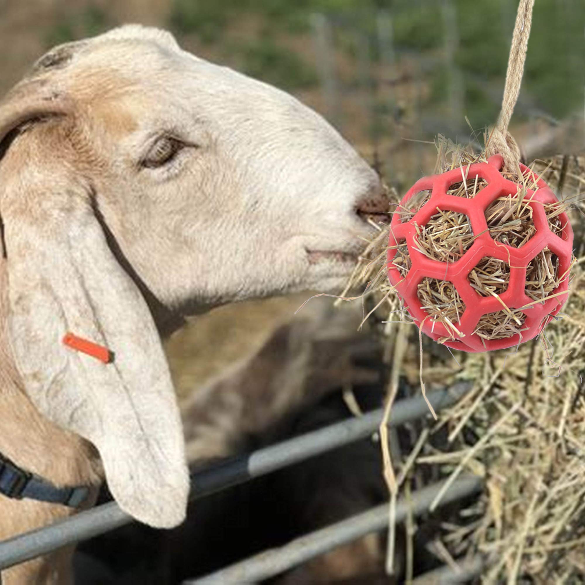 YUYUSO goat feeder ball showing hay and treats compartment for engaging feeding play.