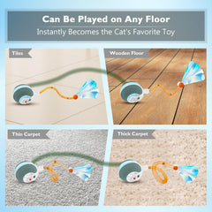 YVE LIFE interactive cat ball adaptive play modes for cats
