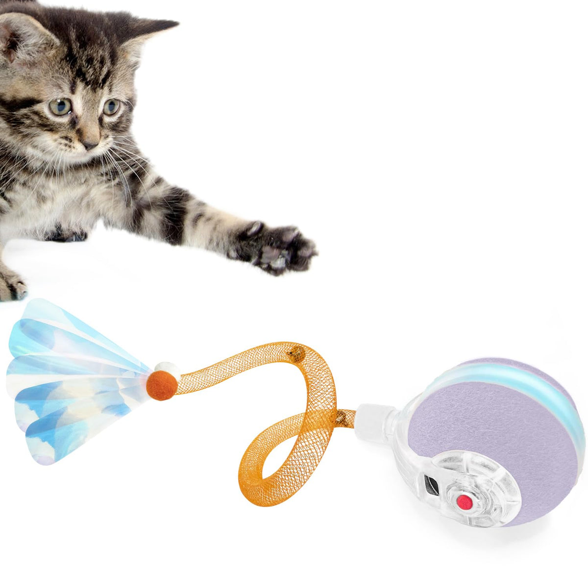 YVE LIFE Interactive Cat Ball front purple design for engaging indoor play sessions