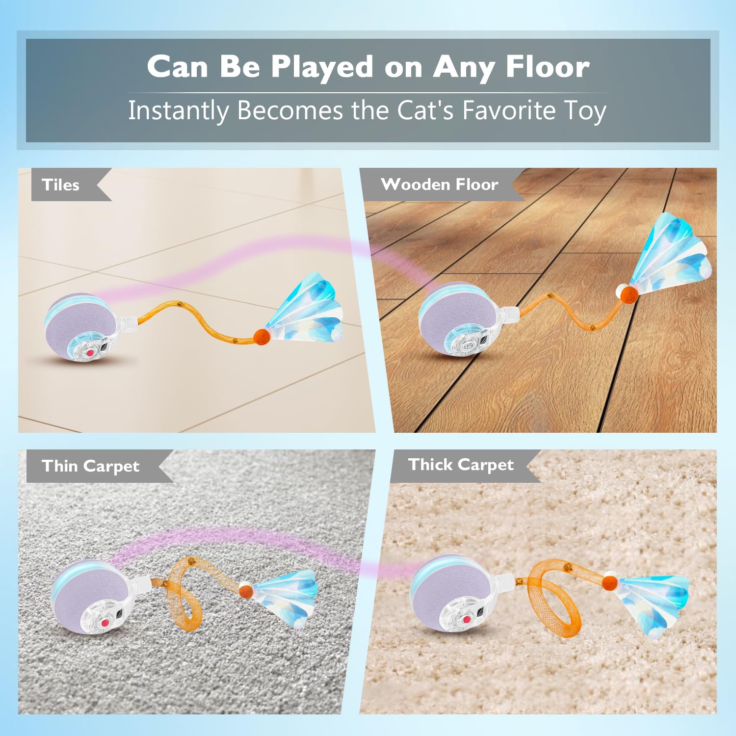 YVE LIFE Cat Ball demonstrates multi-surface play across carpet, rug, and wood floors