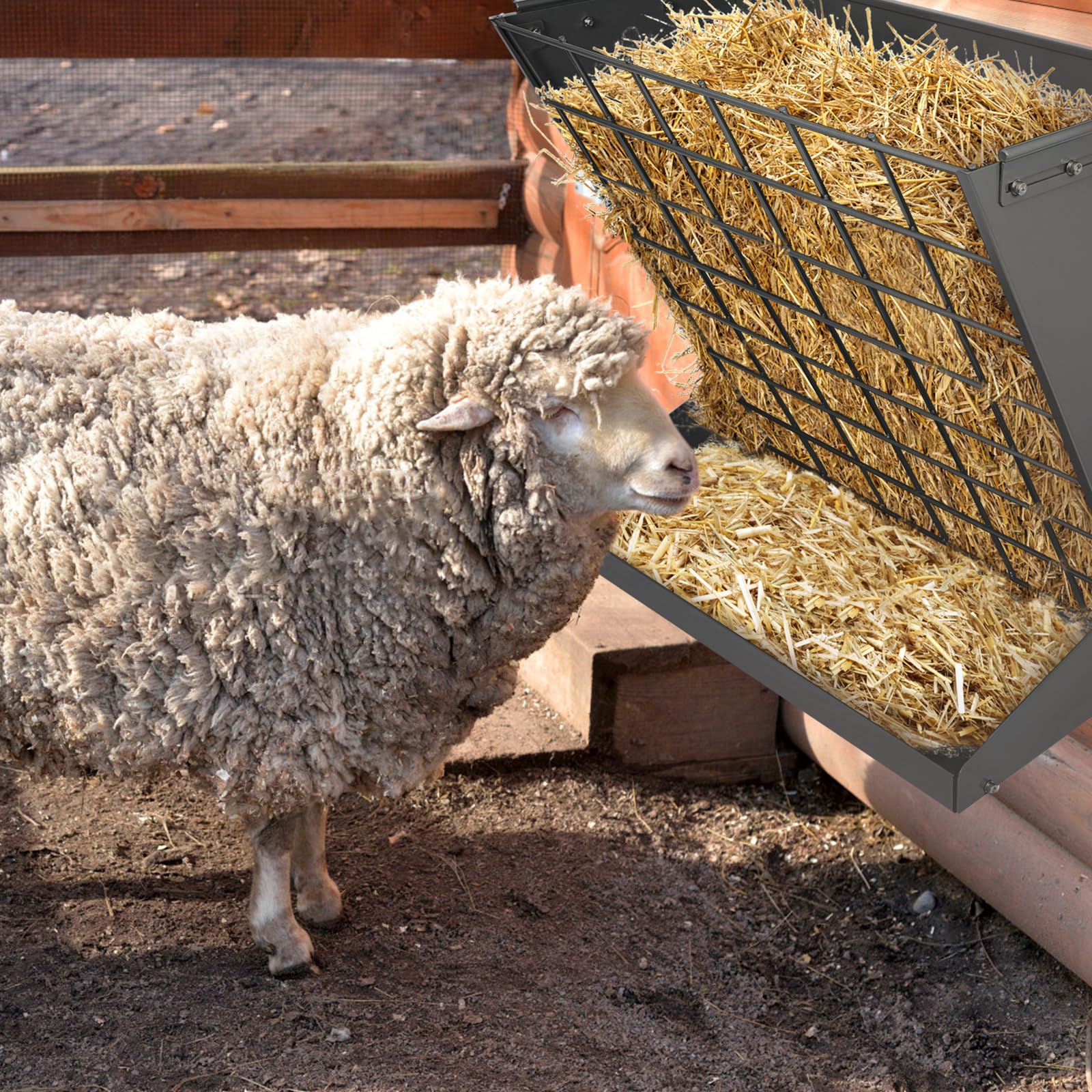 YXJSTO livestock feeder mounted in stable shows reliable access for goats, sheep, and horses.