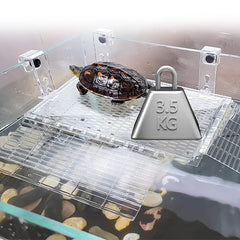 YXQ Hanging Turtle Platform easy-install design promotes tool-free setup.