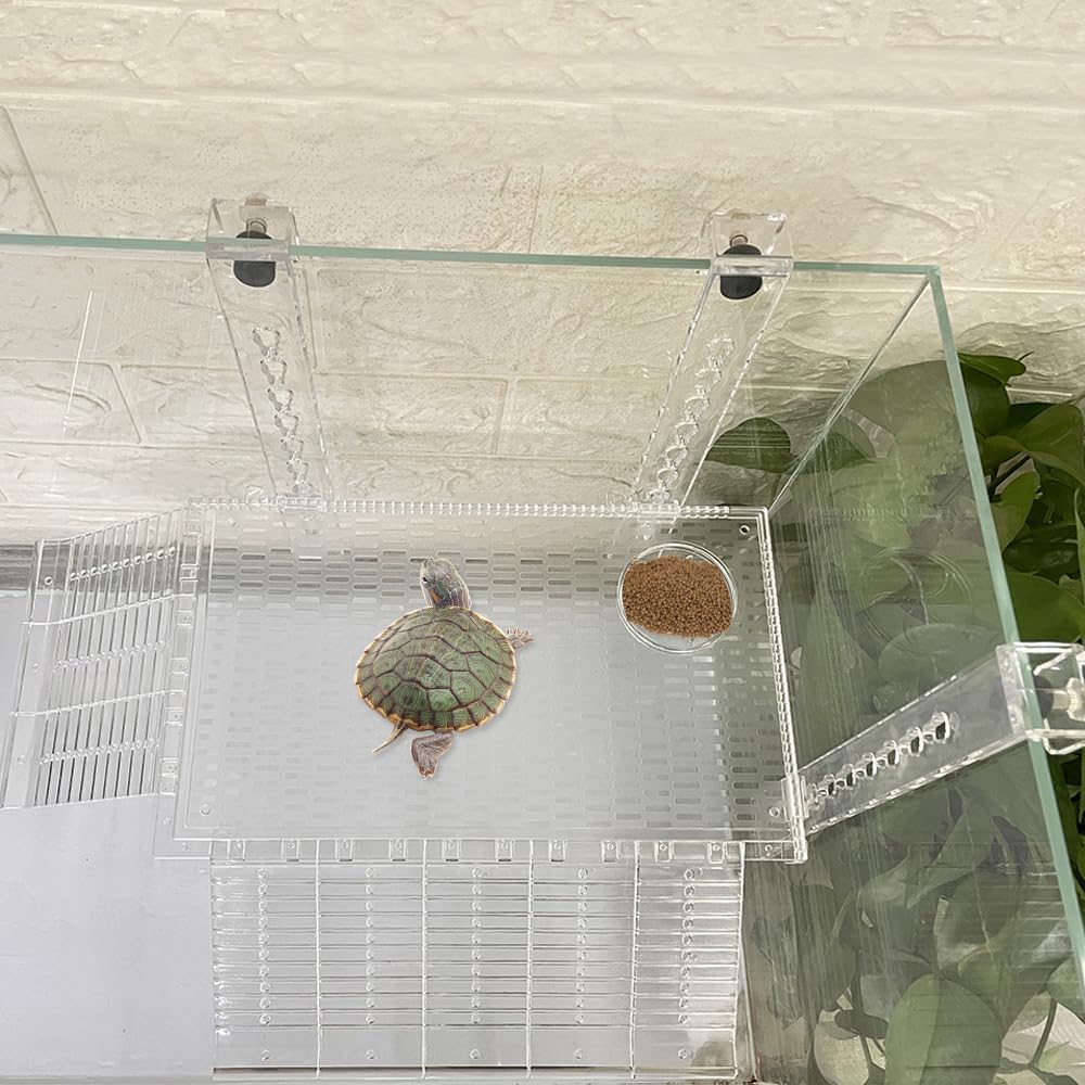 YXQ Hanging Turtle Platform multiuse tank compatibility supports turtles, lizards, frogs, hermit crabs.