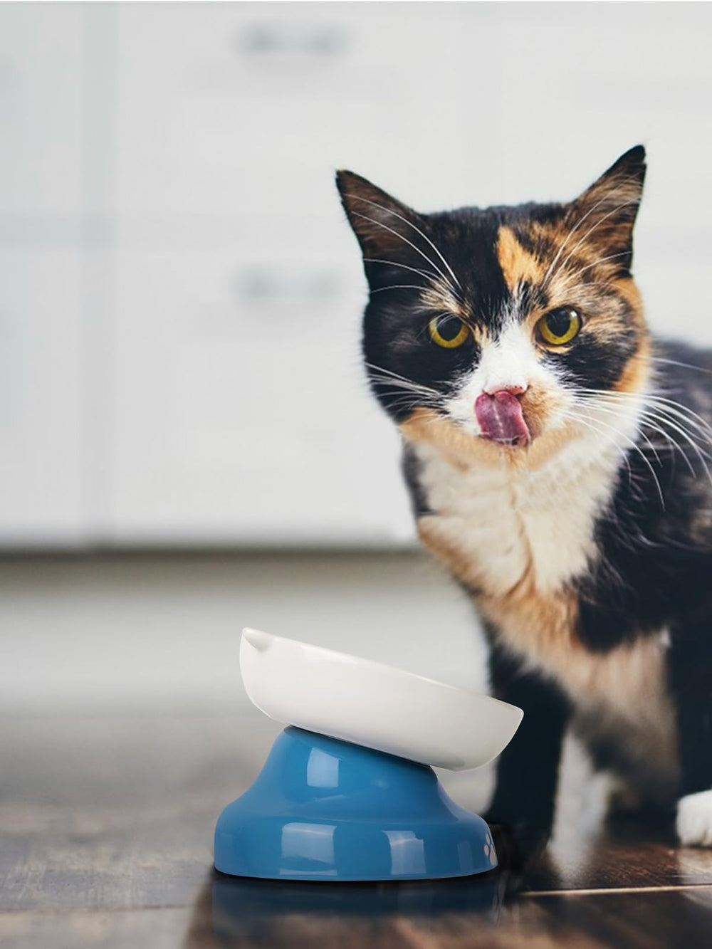 Y YHY blue ceramic slow-feeder bowl blends style with paced eating benefits.