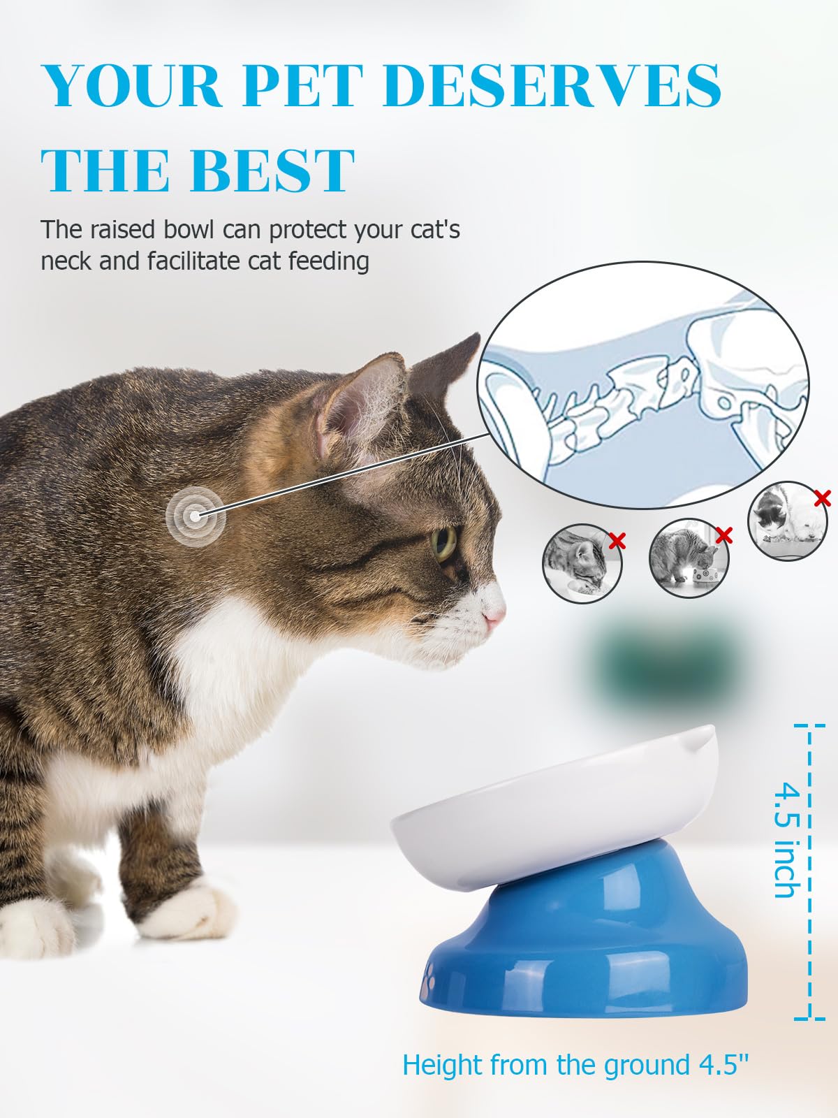 Y YHY ceramic bowl works with both dry and wet foods for versatility.