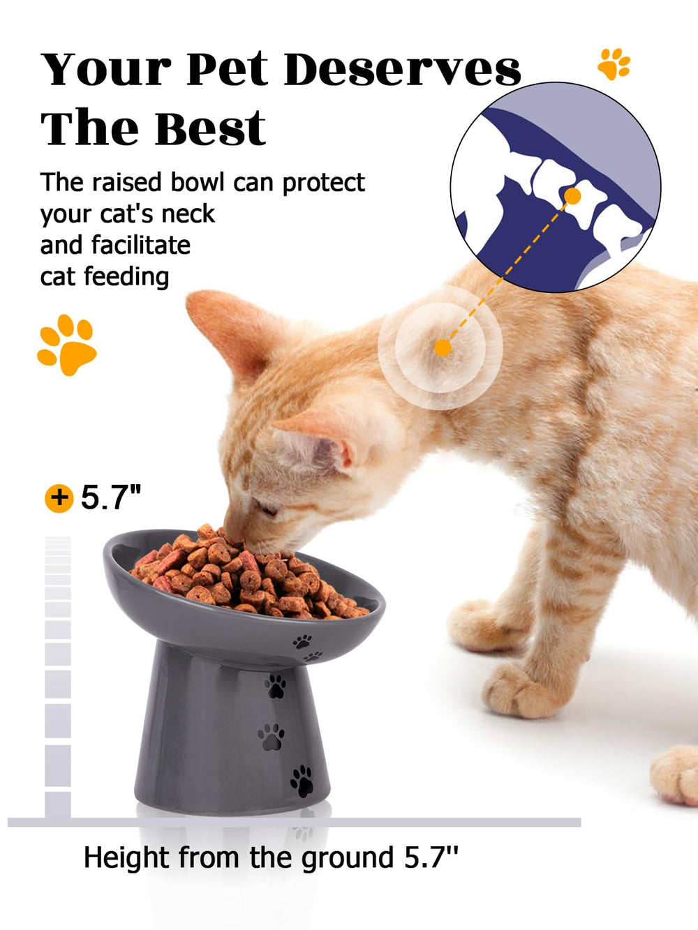 Y YHY shallow bowl reduces whisker contact during meals.