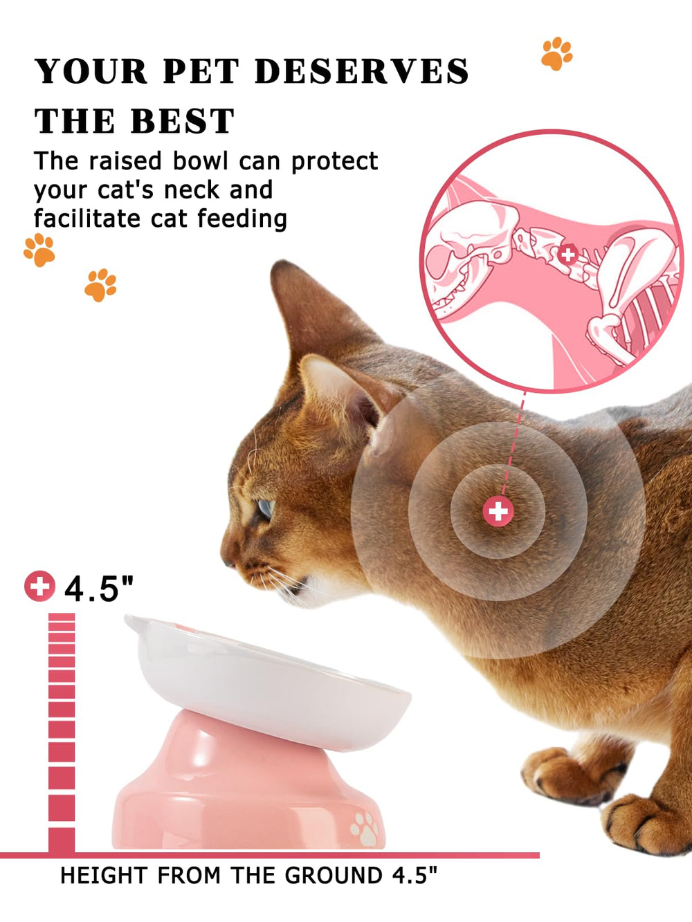 YYHY slow-feeder dogs and cats bowl for dry and wet food