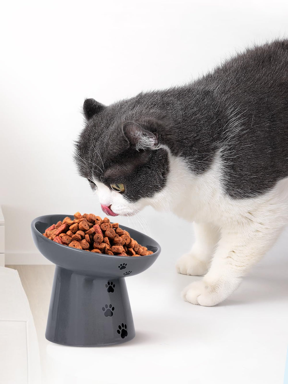 Y YHY suitable for dry and wet foods at mealtime.