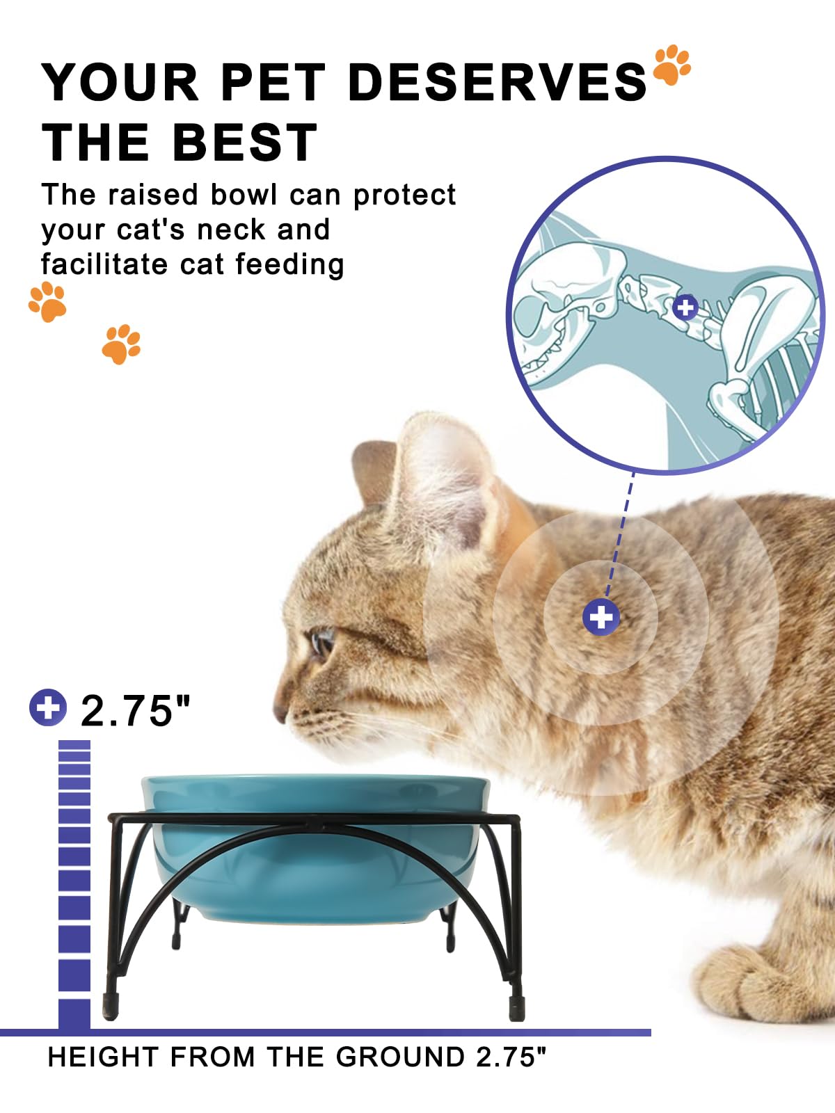 Y YHY whisker-friendly bowls minimize whisker fatigue during feeding sessions.