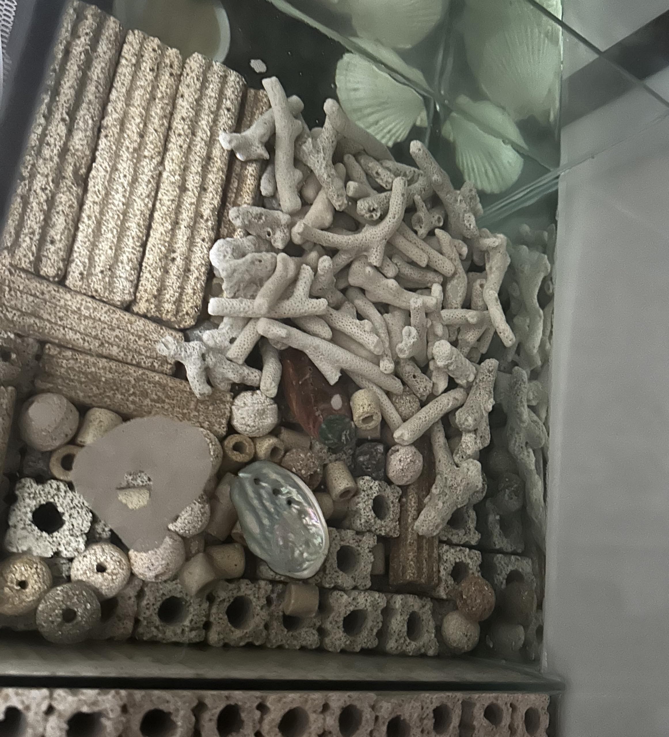 YZHZOM coral triturado para filtro de acuario mejora la calidad del agua