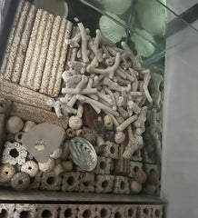 YZHZOM coral triturado para filtro de acuario mejora la calidad del agua
