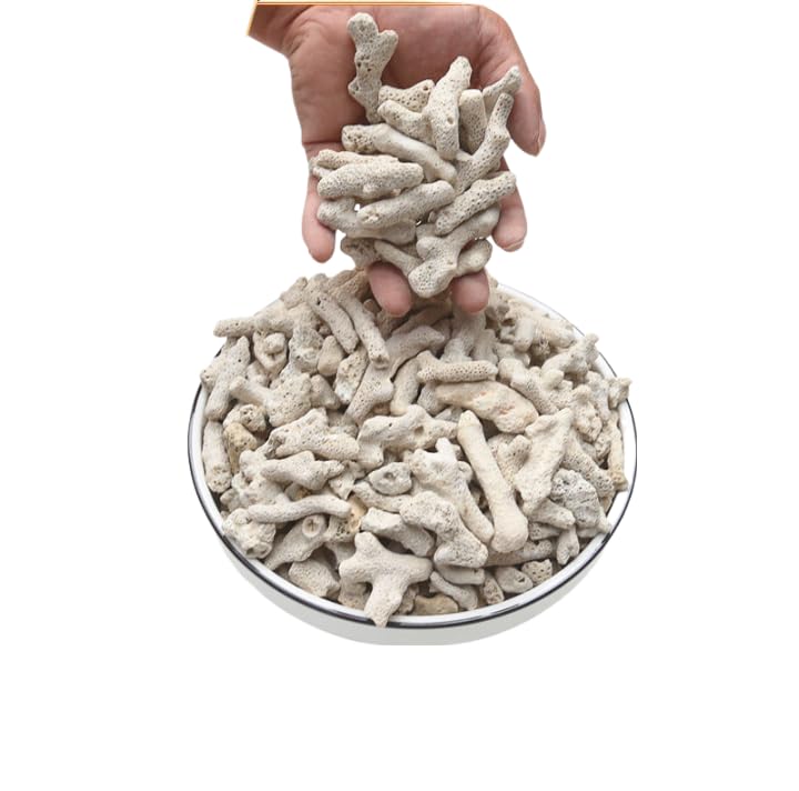 YZHZOM coral natural para acuario decora y purifica ligeramente el agua