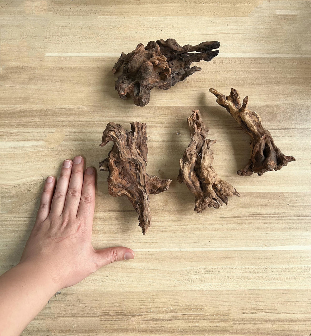 YZHZOM driftwood aquarium pretreat process helps safer setup and clarity.