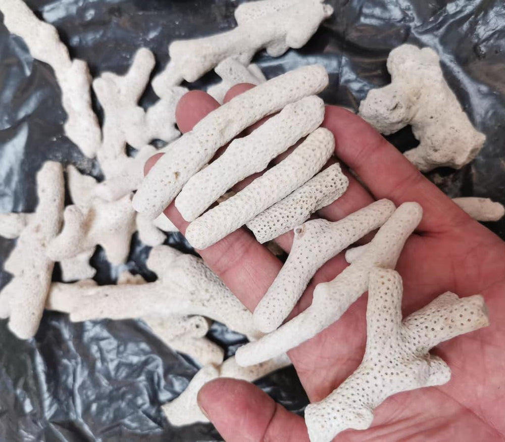 YZHZOM envase de 500 g de coral para uso prolongado en filtro