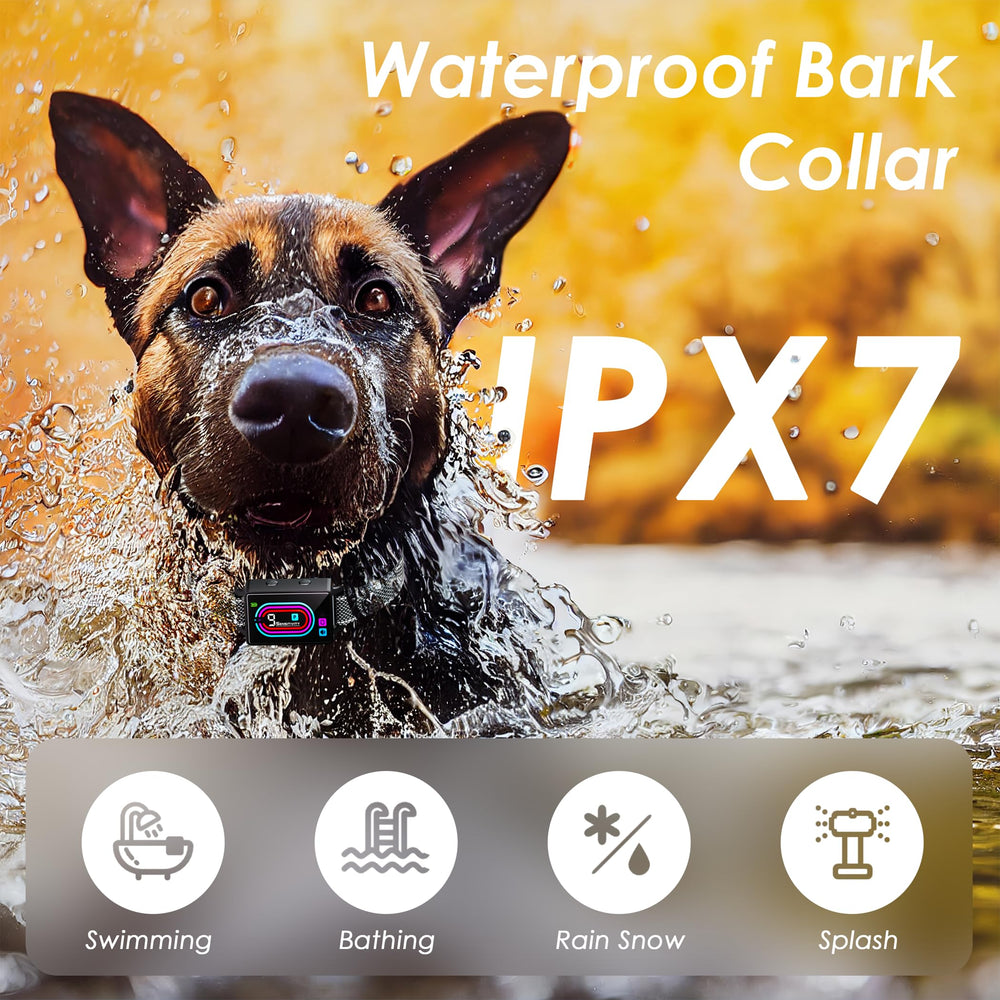 Zaguren dog bark collar waterproof ipx7 image communicates all weather training readiness