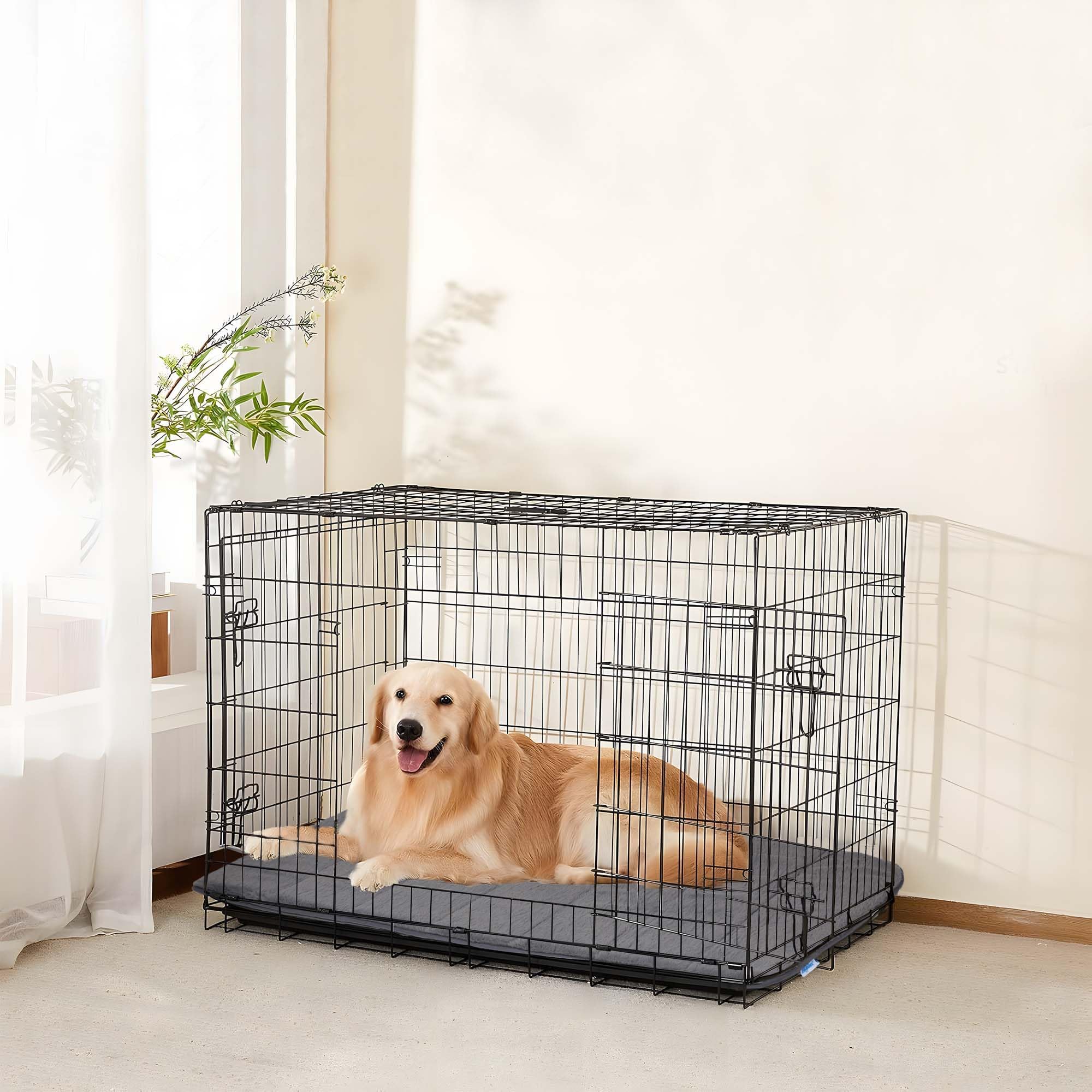ZAKAPAWS non-slip bottom base image shows stable placement on floors.