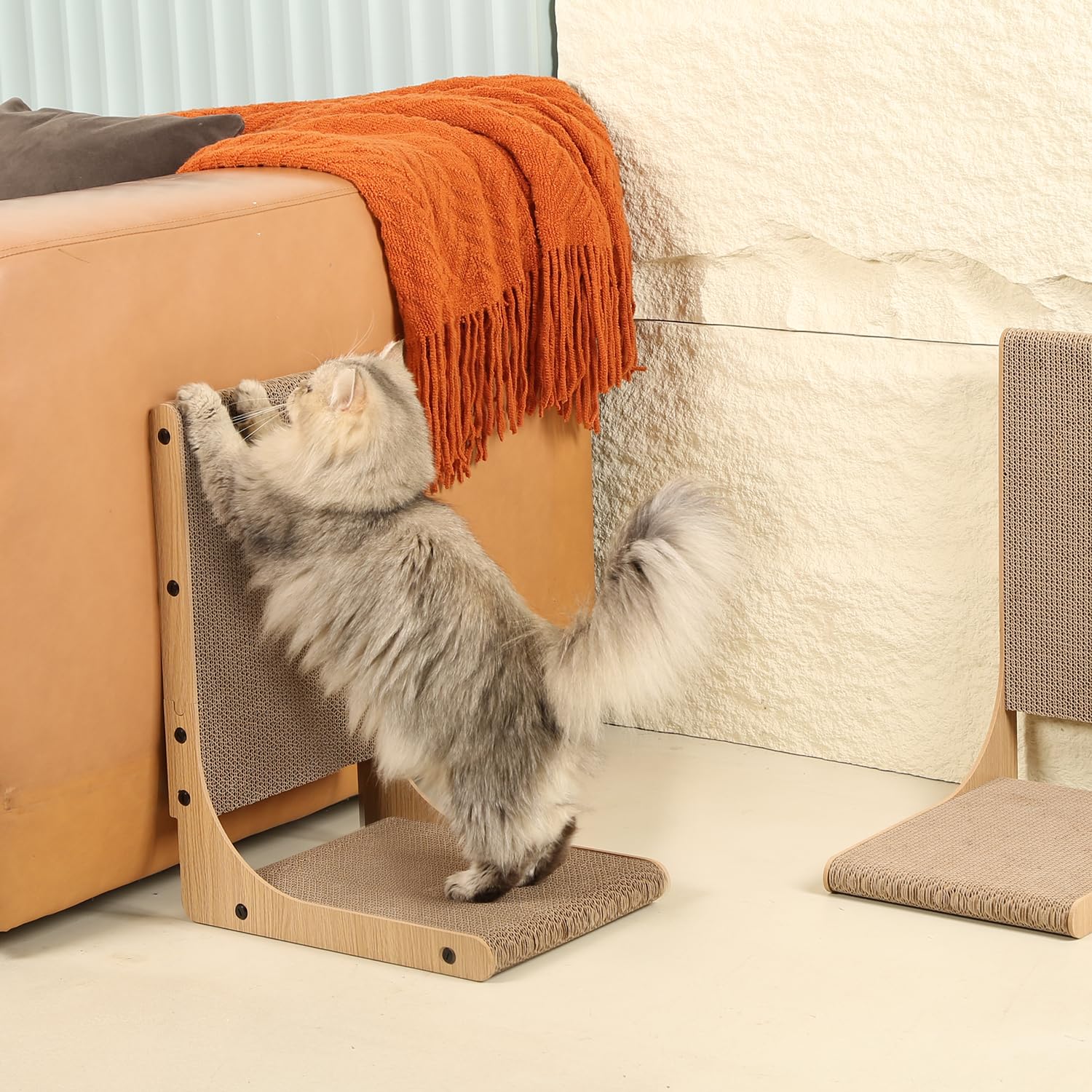 Zakkart 2-Pack-packaged image conveys value and multi-room setup for households with multiple cats.