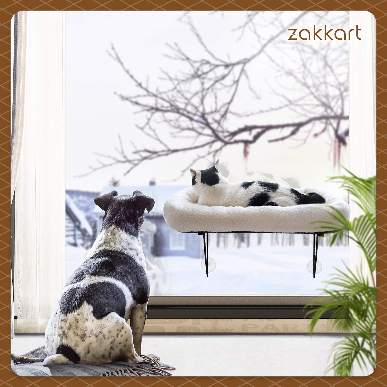 Zakkart cat window perch sunlit spot for daytime relaxing