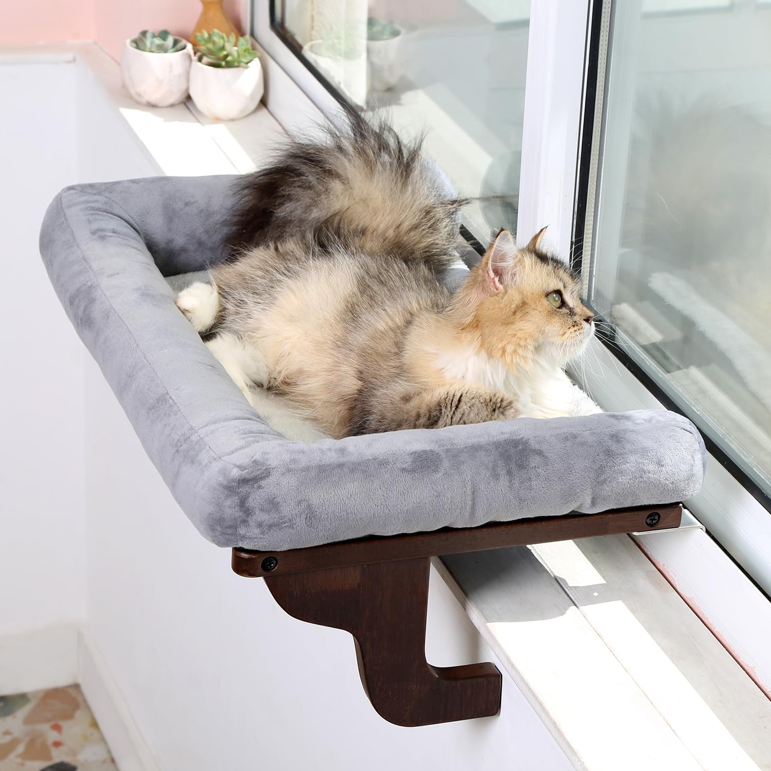 Zakkart Cat Window Perch view-through-window shows spacious lounge for large cats to enjoy daylight