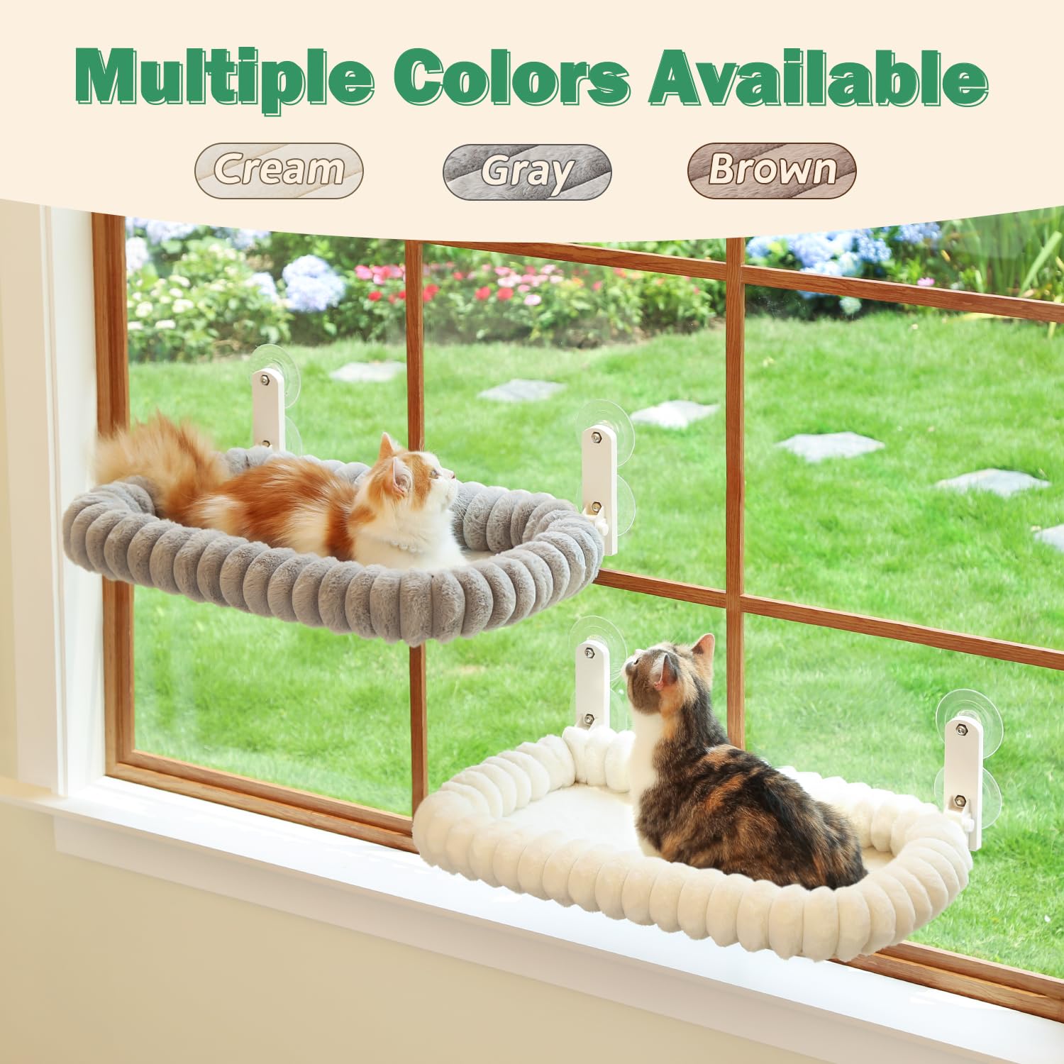 Zakkart SnugCloud birdwatching view invites curiosity from a comfy perch.