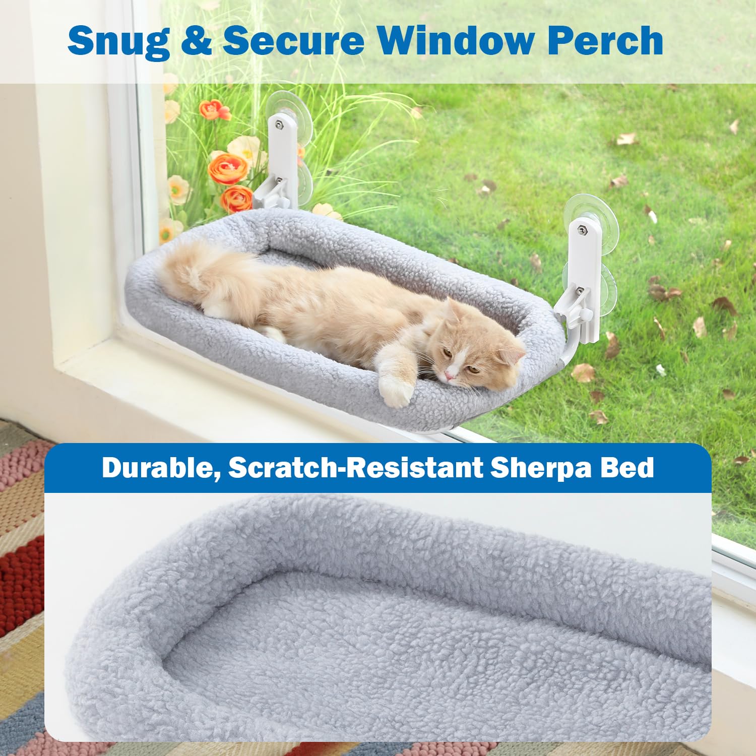 Zakkart sunlit cat window seat with warm light and relaxed posture.