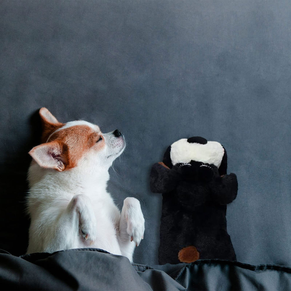 ZALBYUY Heartbeat Puppy Toy packaging-illustration highlights features and benefits
