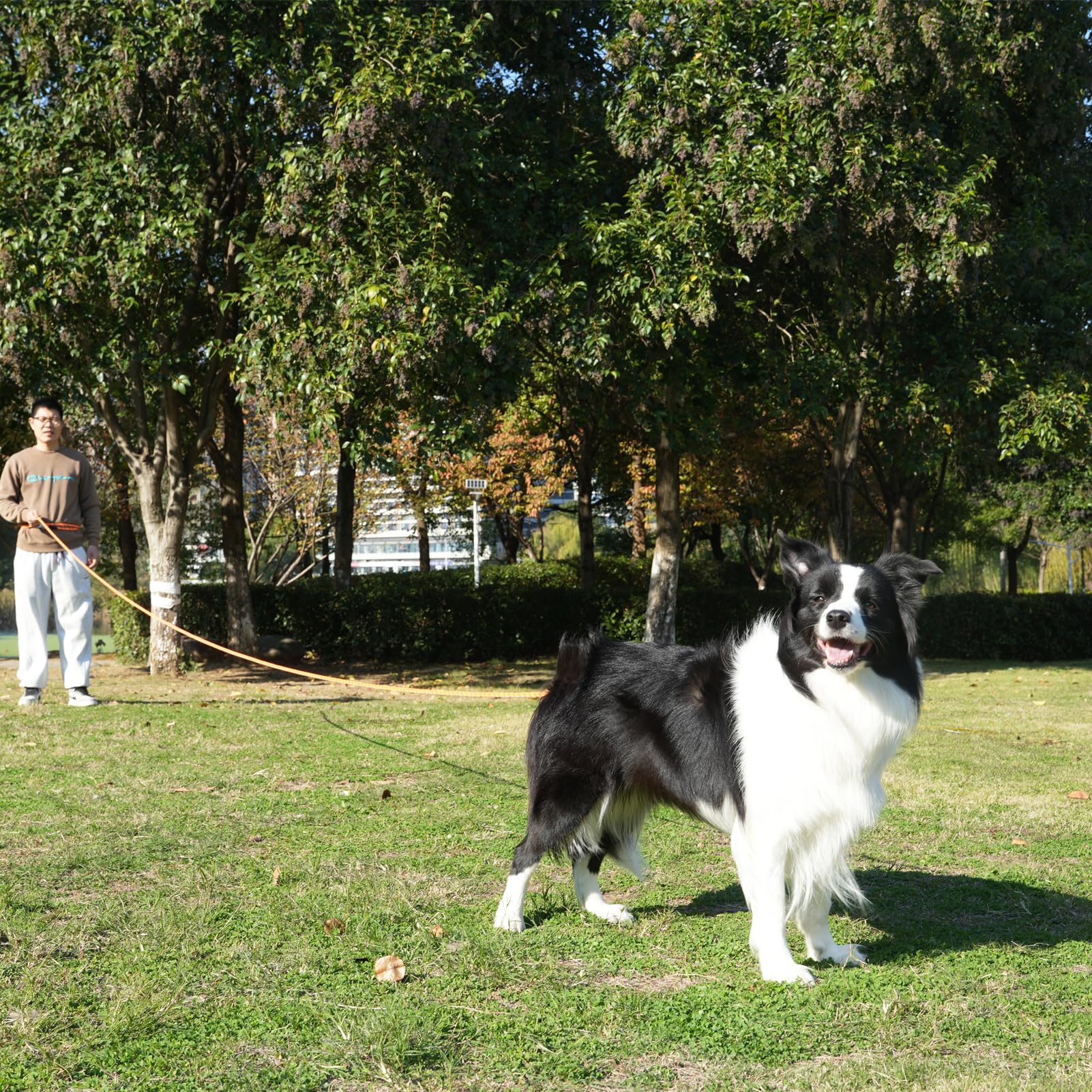 ZALER long dog leash screw-lock carabiner ensures secure attachment.