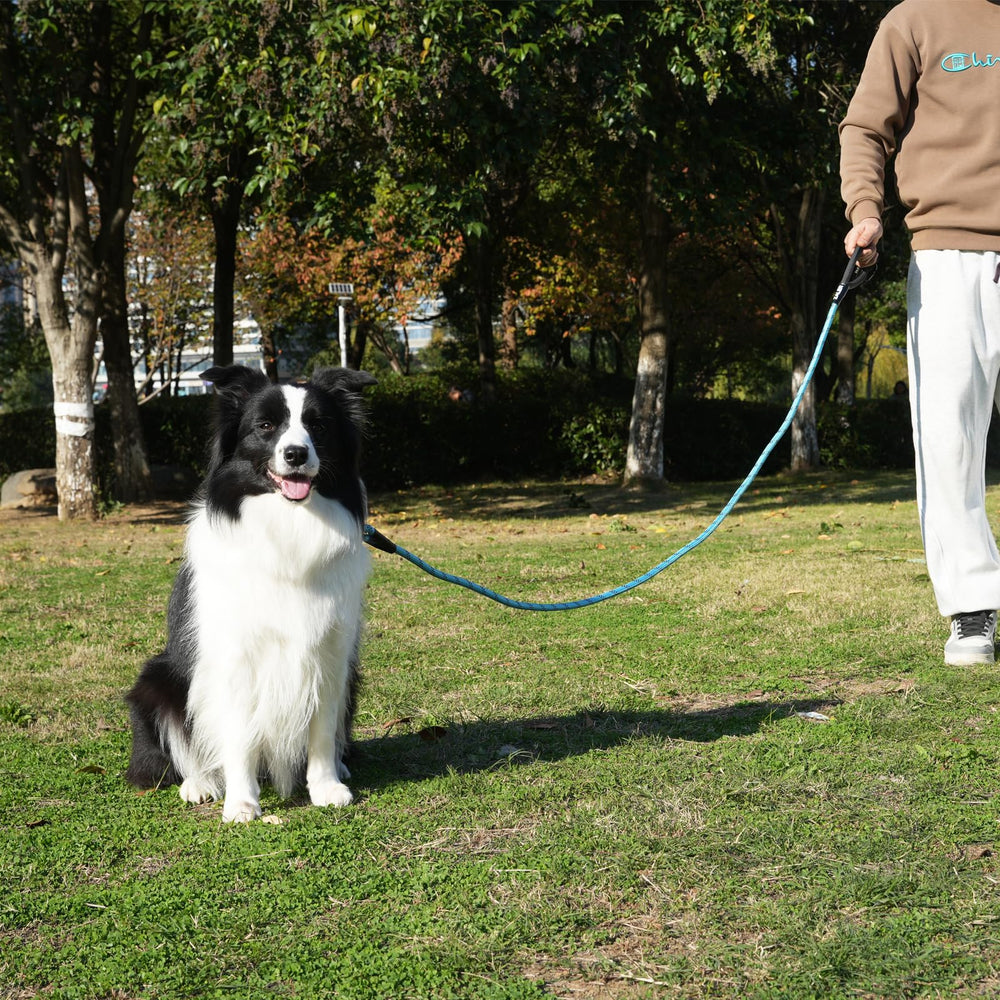 ZALER Rope Dog Leash 10ft orange provides extra freedom with safety.