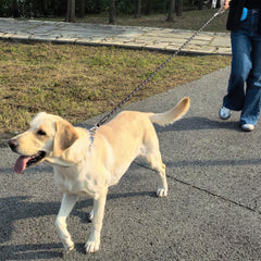 ZALER Rope Dog Leash length options enable flexible training and walking.