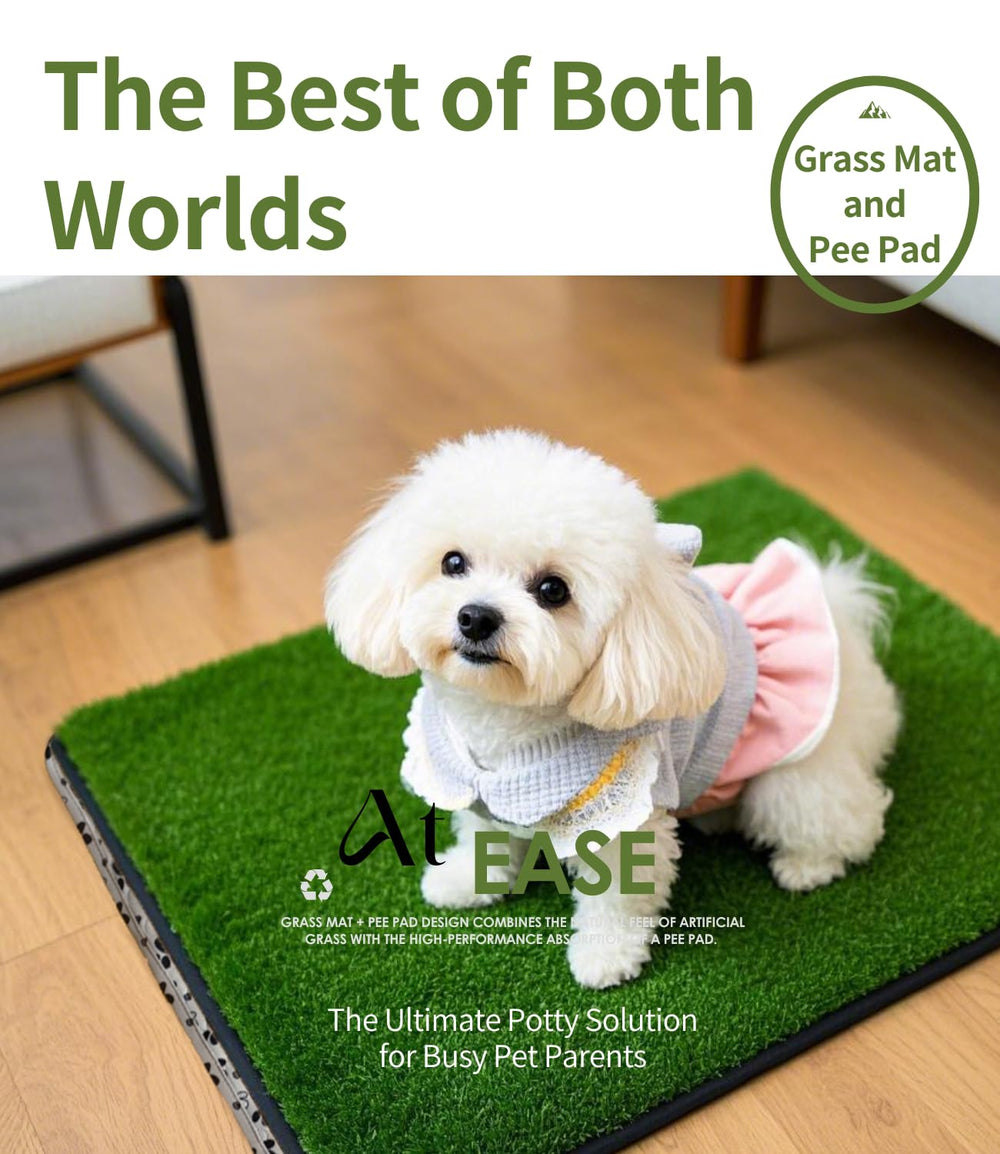 Zalhyrox pee pad shows high absorbency and spill protection.