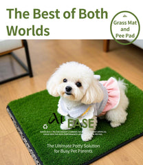 Zalhyrox pee pad shows high absorbency and spill protection.