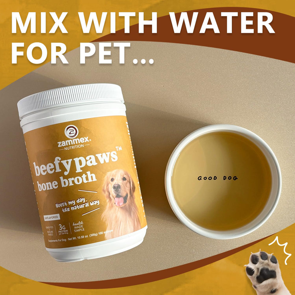 Serving scene with pet-friendly meal topped with Zammex broth.