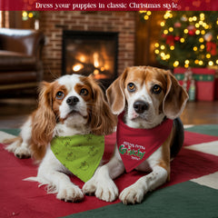 Zamouk bandana-soft breathable polyester fabric keeps dogs comfy during celebrations.