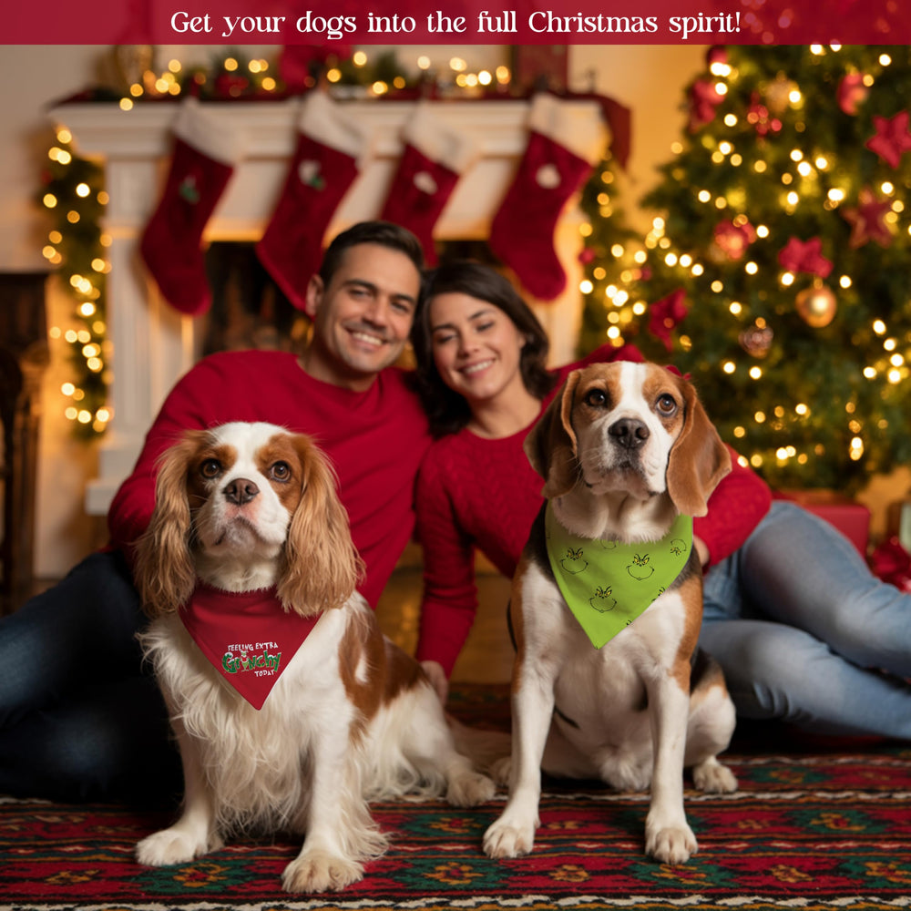 Zamouk Christmas dog bandanas—red and green pack for coordinating holiday looks.