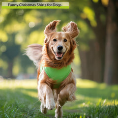 ZamouK dog Christmas outfit medium green back view for holiday attire.