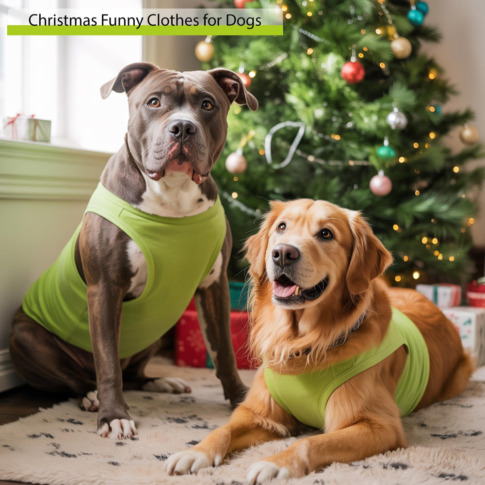 ZamouK dog Christmas outfit medium green close-up stitching highlights durability.