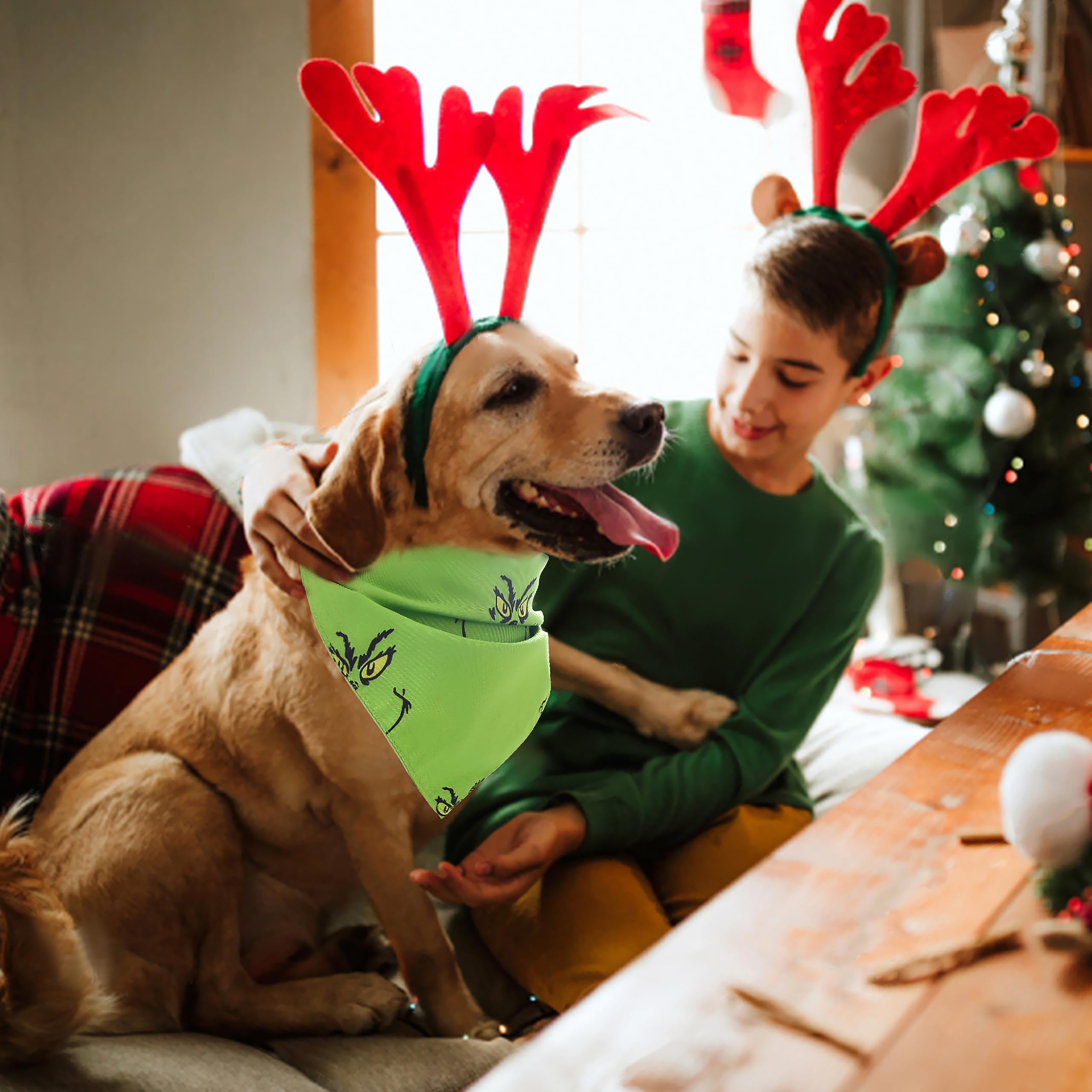 Zamouk Christmas bandanas on dogs during family portraits and holiday gatherings.