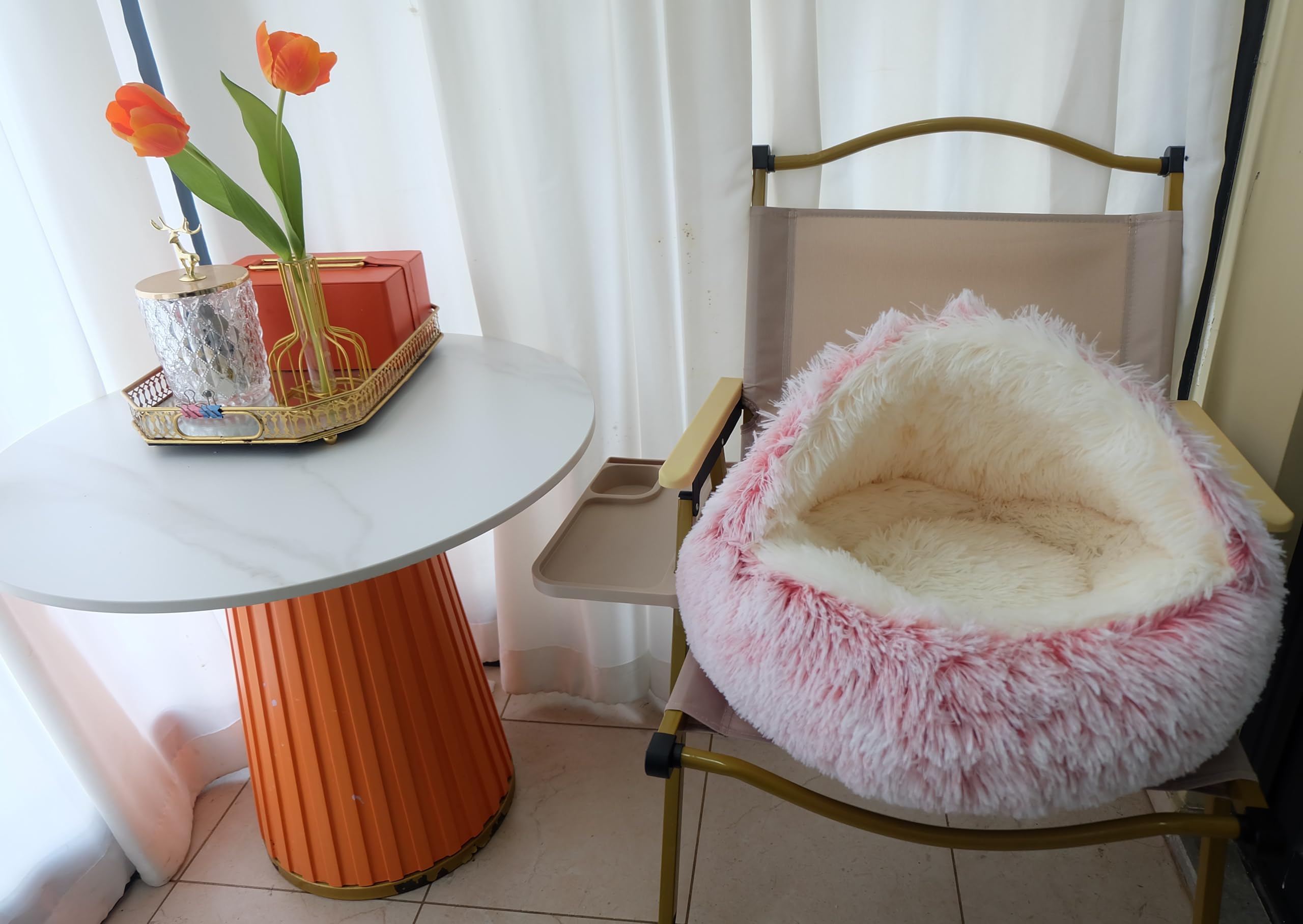 ZaneSun bed in living room setup offers cozy pet nook