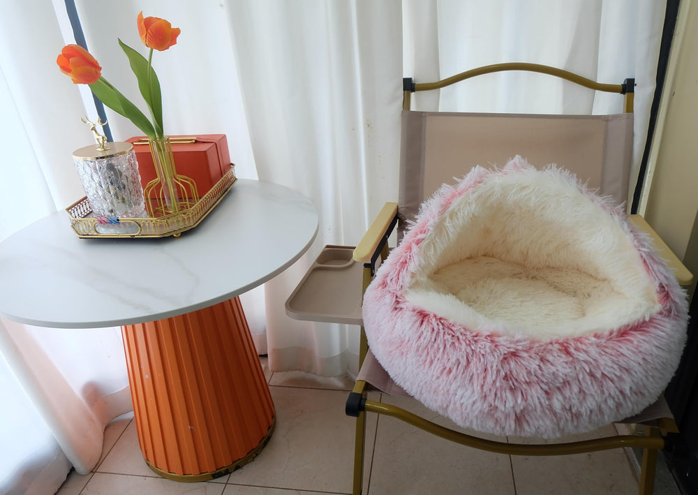 ZaneSun bed in living room setup offers cozy pet nook