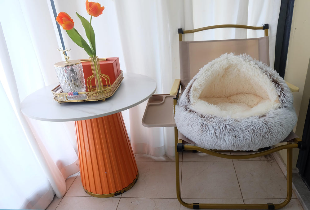 ZaneSun 20x20 inch bed fits cats and small dogs comfortably.