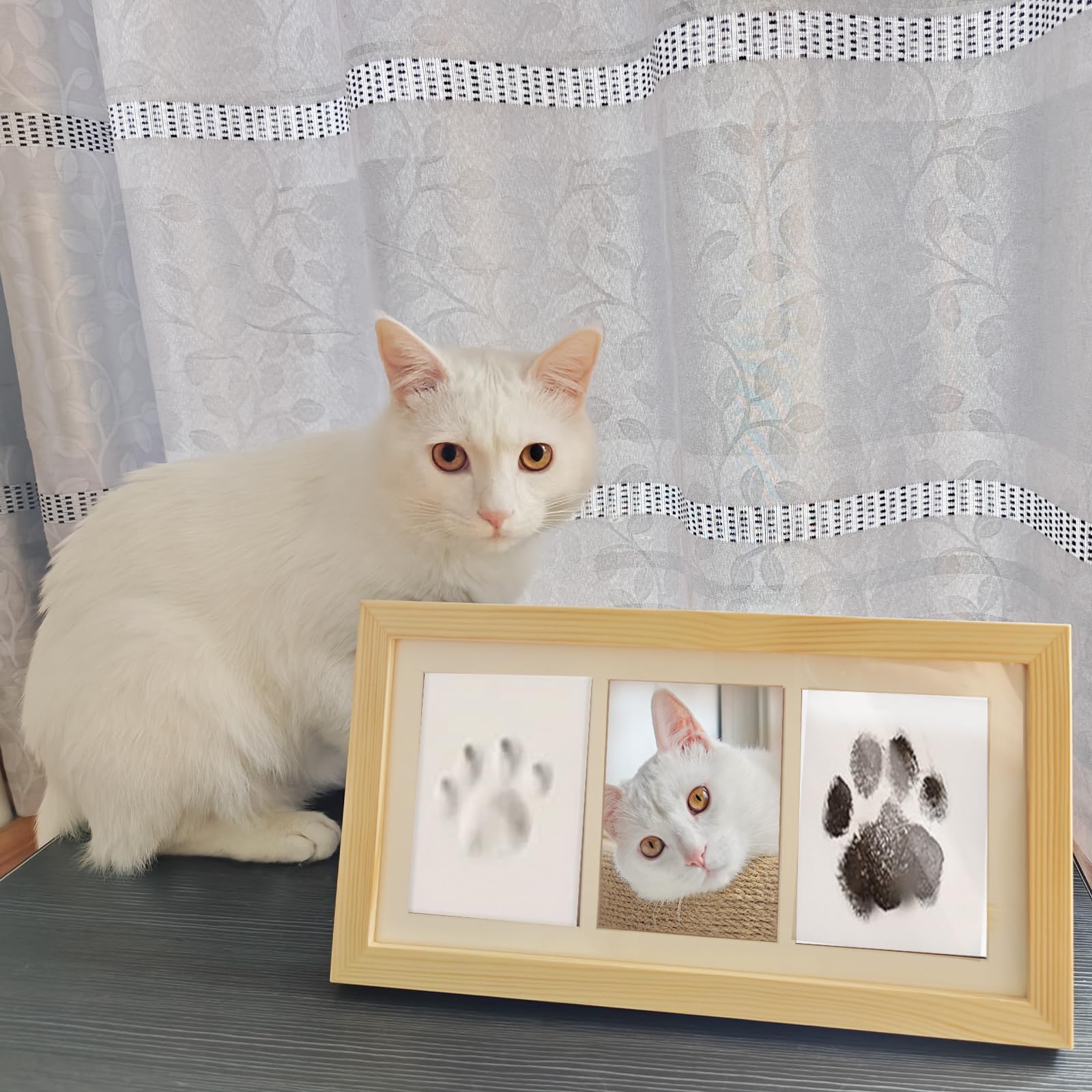 ZAPVLVT assembled paw print frame ready to display