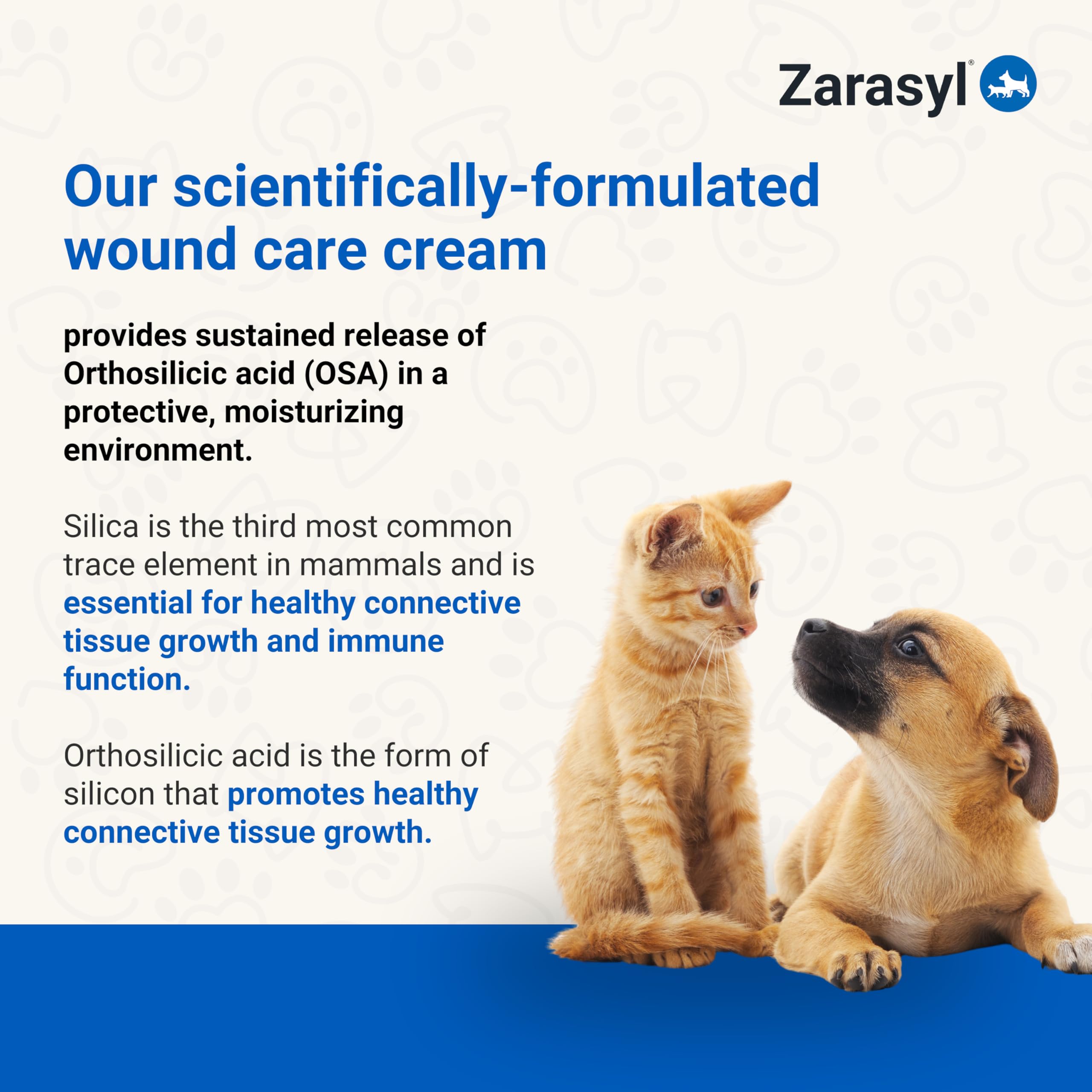 Zarasyl amorphous silica graphic illustrating barrier technology