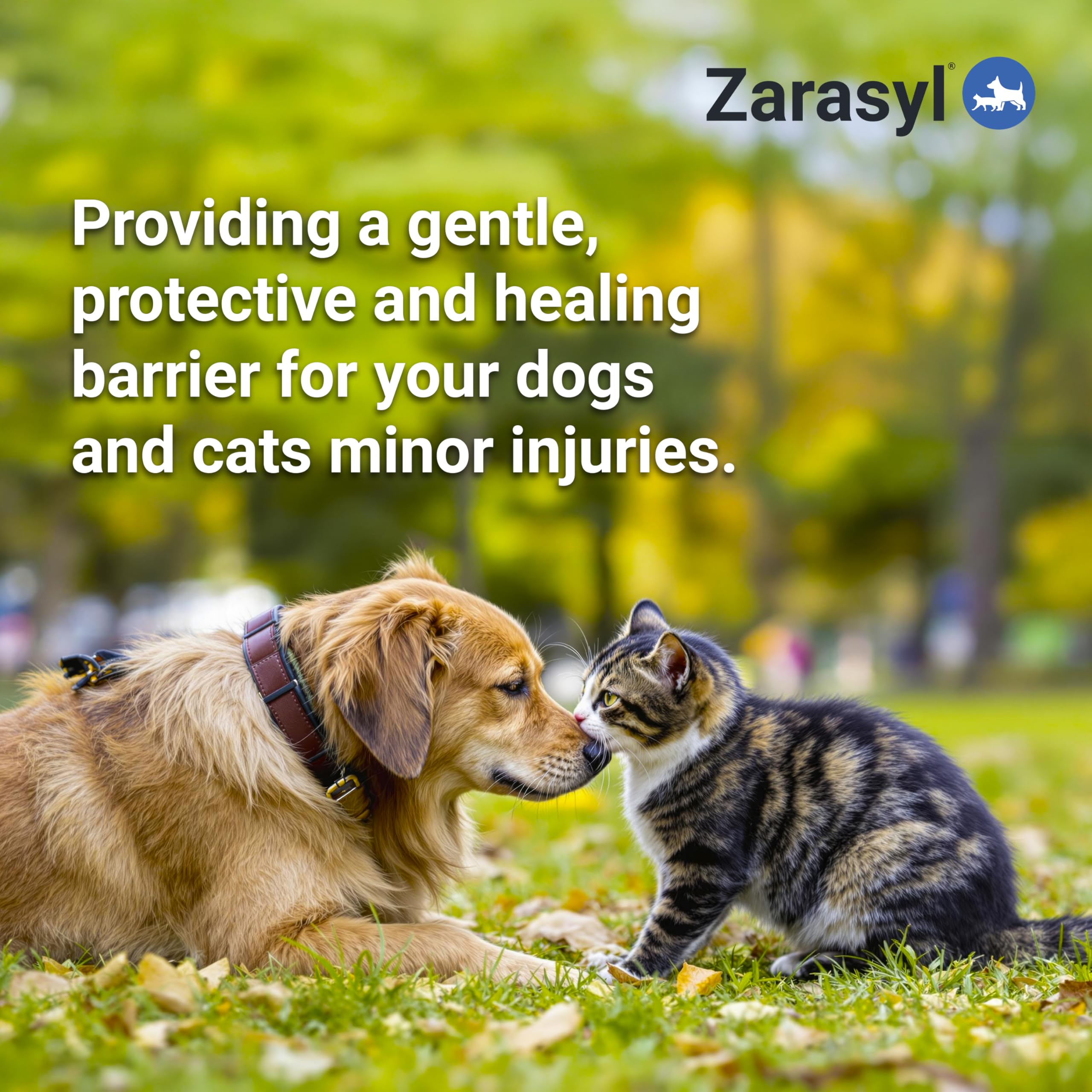 Zarasyl wound care ointment application on a pet paw